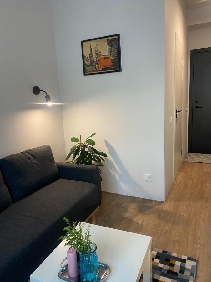 Lovekaunas Apartments Εξωτερικό φωτογραφία